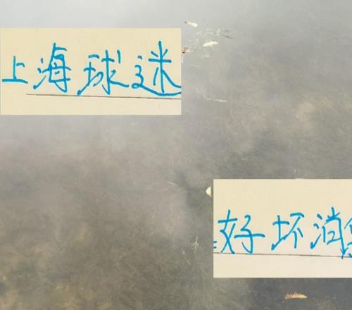 坏消息！每次间歇期北京国安都出问题好消息能给足协杯攒经验值